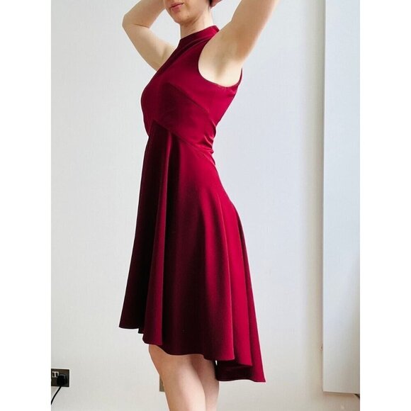 BNWT Ted Baker London Kendal High Neck Maroon Dress - Picture 3 of 14
